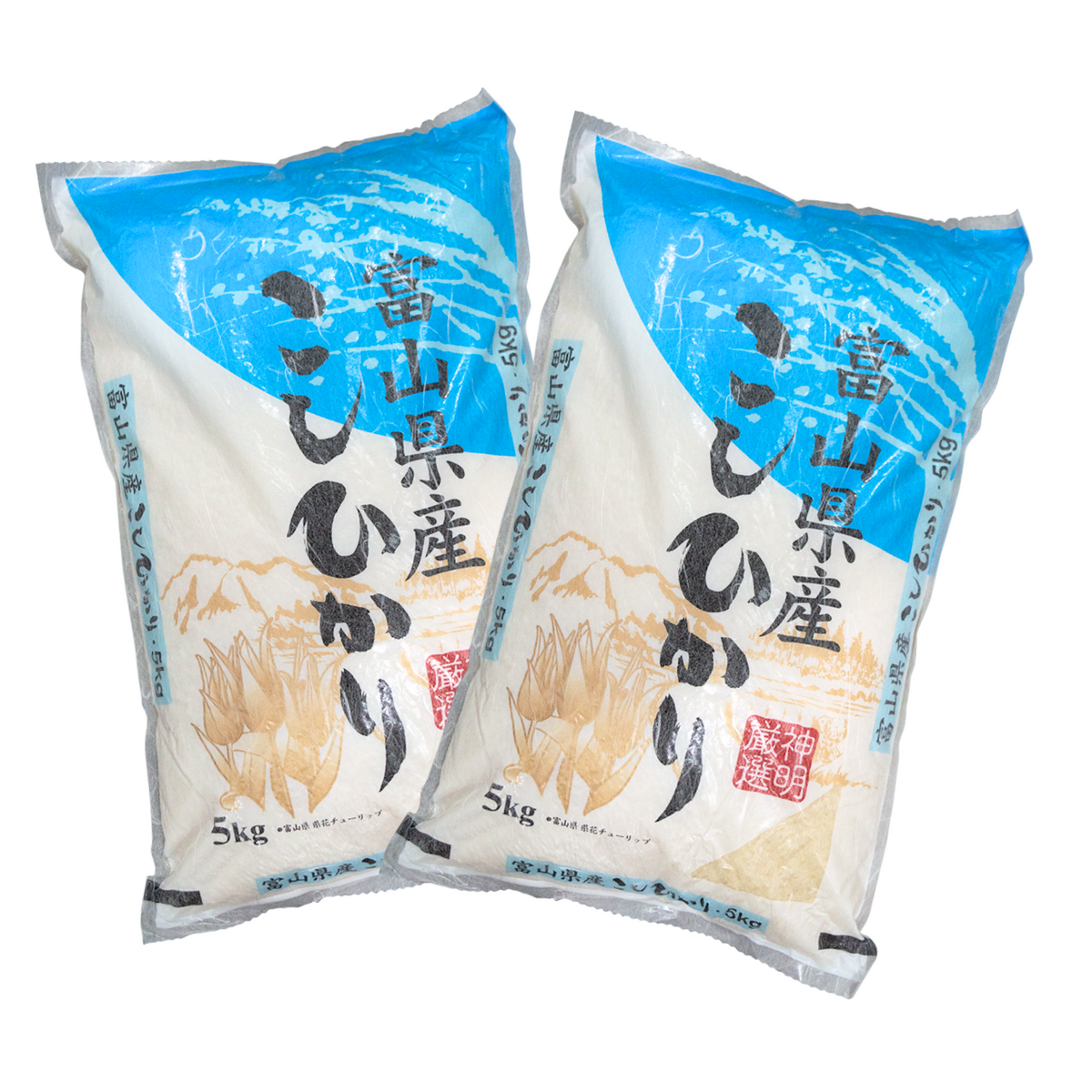 うし様専用 富山県産コシヒカリ うし様専用 富山県産コシヒカリ