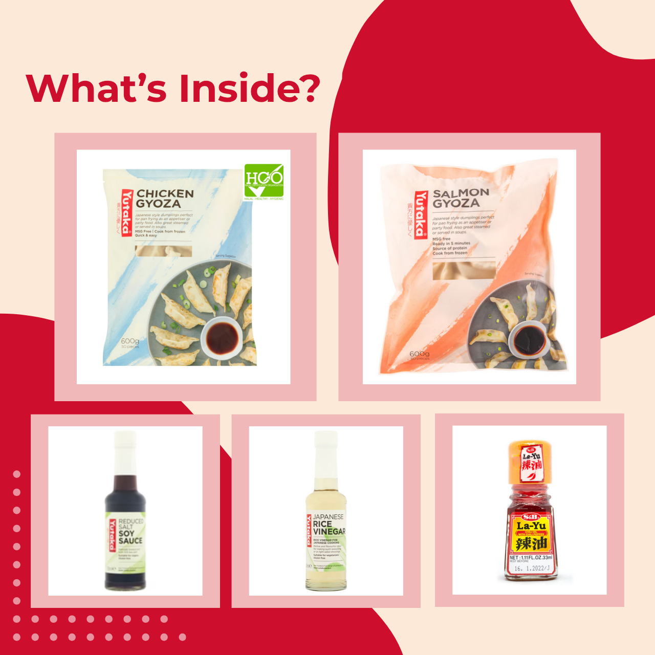 Gyoza Party at Home! Premium Gyoza Kit for True Food Lovers