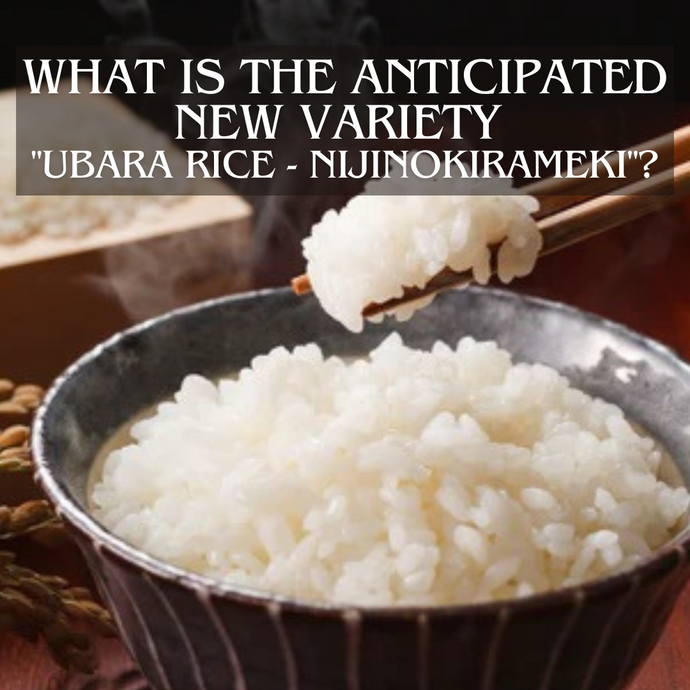 What is the anticipated new variety "Ubara Rice - Nijinokirameki"?  A delicacy to rival Koshihikari?