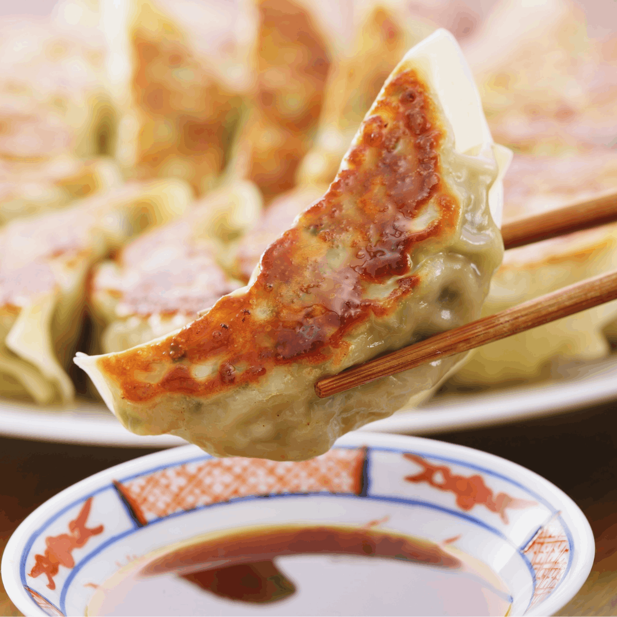 Gyoza & Dumplings