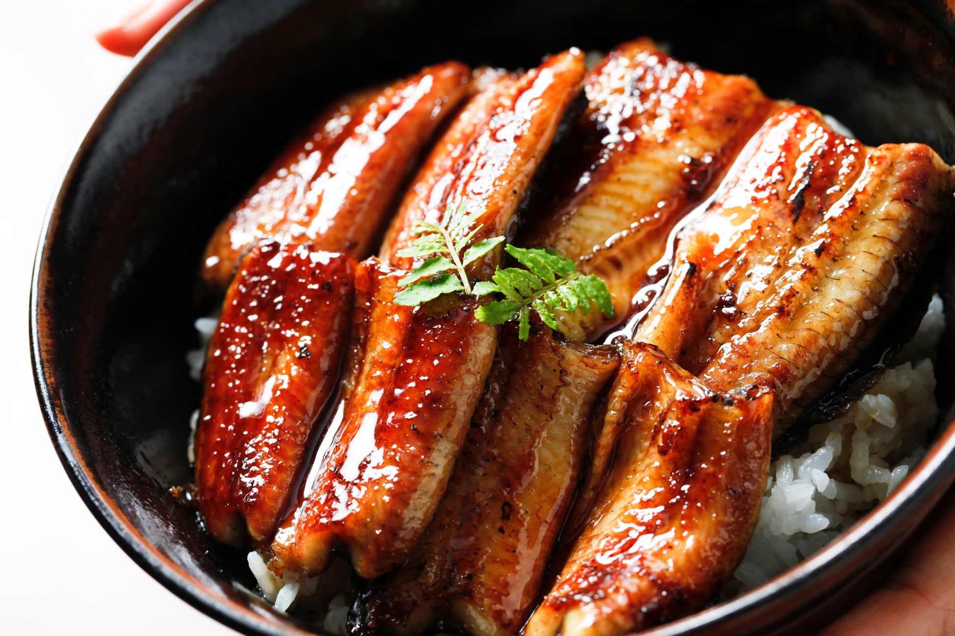 Perfect for Gifting! Authentic Unadon (Eel Rice Bowl) Recreate-at-Home Kit